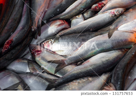 Raw herring in a box on the market 131757653