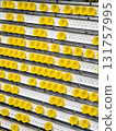 Colorful yellow bottle caps arranged neatly on a display wall in a beverage production facility 131757995