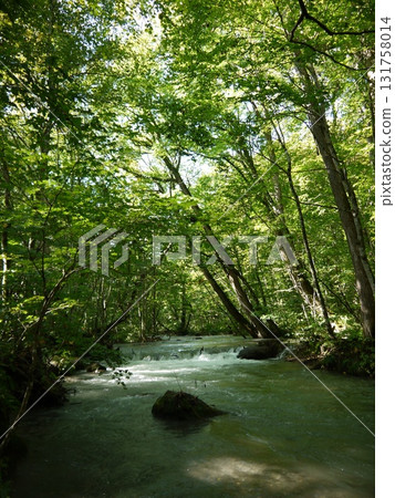 A clear stream flowing through the fresh green forest 131758014