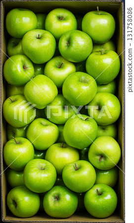 Fresh green apples arranged neatly in a cardboard box ready for sale 131758086