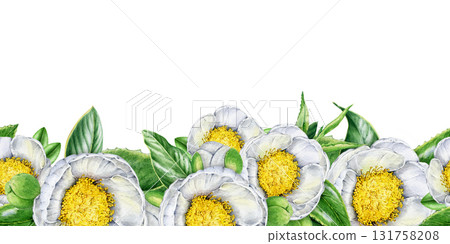 White camellia flower seamless border decor element. Lush spring blossoms vintage style hand drawn watercolor illustration. Botanical floral decoration element isolated on a white background 131758208