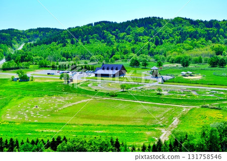 幌延馴鹿農場的風景 131758546