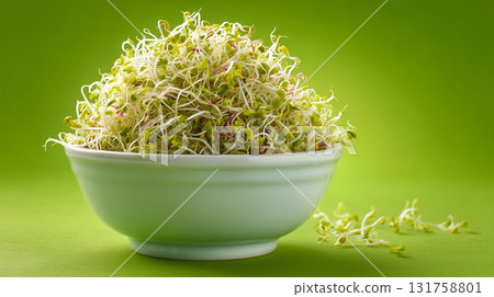 Fresh sprouts in a bowl on a green backdrop for healthy eating Fresh sprouts in a bowl on a green backdrop for healthy eating 131758801