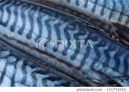 Makerel fish close up Makerel fish close up 131759202