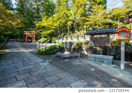 [Nara Prefecture] Reizanji Temple, Nara City (photographed on October 7, 2025) 131759344