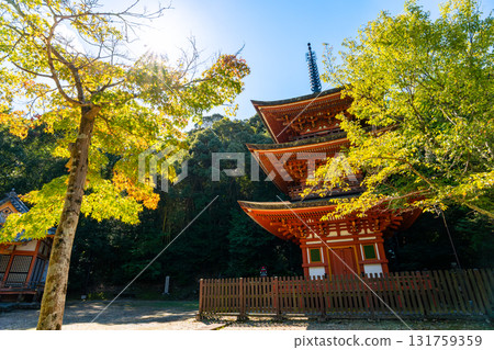 【奈良縣】奈良市靈山寺（2025年10月7日拍攝） 131759359