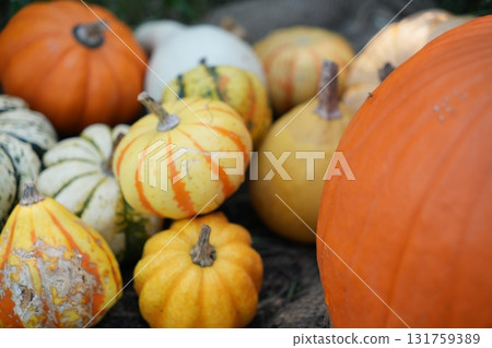 Halloween pumpkin Halloween pumpkin 131759389