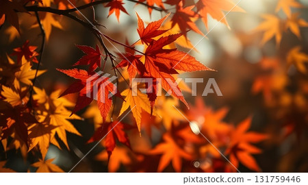 Golden Autumn Sunlight Through Orange Leaves in Serene Park Scene for a Warm Peaceful Mood. 131759446