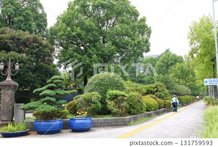 日比谷公園 東京都千代田區日比谷公園 日比谷公園 東京都千代田區日比谷公園 131759593