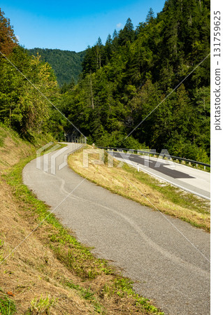 Cycle Path and Scenic Road in the Alps Surrounded by Mountain Landscape 131759625