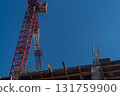 Construction process of a multi-storey monolithic building with reinforced concrete reinforcing cores using tower-type construction crane against the background of a blue sky, view from bottom to top 131759900