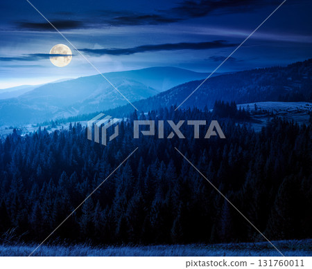 rural area of mountains in autumn at night. wonderful highland in full moon light observed from the hillside. meadows on rolling hills near spruce forest. alpine travel destination 131760011