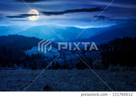 landscape with coniferous forest behind the meadow in autumn at night. nature background with blue sky and mountain ridge in full moon light. alpine woodland landscape with coniferous forest behind the meadow in autumn at night. nature background with blue sky and mountain ridge in full moon light. alpine woodland 131760012