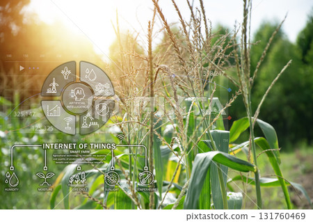 The concept of using AI and smart agriculture to increase productivity and quality of agricultural technology 131760469