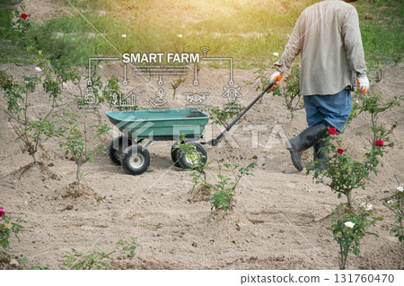 The concept of using AI and smart agriculture to increase productivity and quality of agricultural technology The concept of using AI and smart agriculture to increase productivity and quality of agricultural technology 131760470