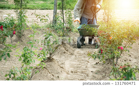 The gardener is fertilizing the flower bed. The gardener is fertilizing the flower bed. 131760471