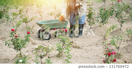 The gardener is fertilizing the flower bed. The gardener is fertilizing the flower bed. 131760472