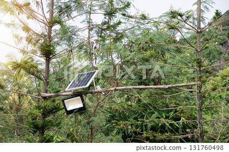 Solar cell lamps use clean energy from the sun. 131760498