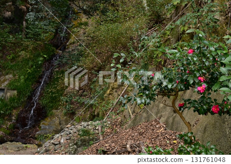 小瀑布 水瀨瀑布 131761048