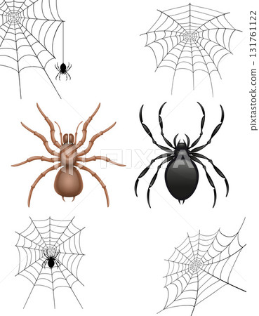 spider and web cartoon stock vector illustration spider and web cartoon stock vector illustration 131761122