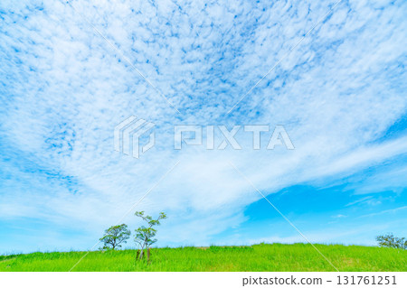 秋雲和草原 131761251