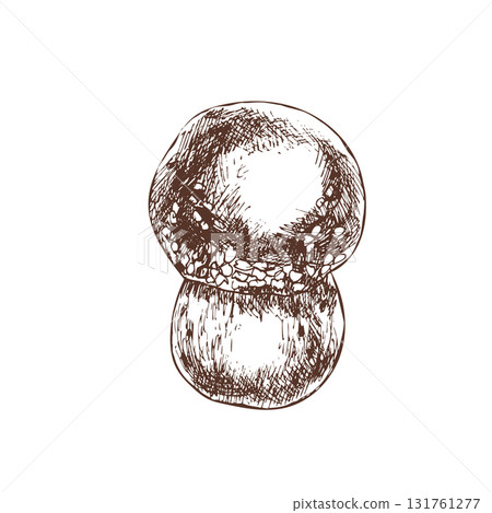 Autumn mushroom ink graphics illustration. Hand drawn fly agaric engraved clipart, black and white inedible fungus painting for seasonal packing, label, logo design. Autumn mushroom ink graphics illustration. Hand drawn fly agaric engraved clipart, black and white inedible fungus painting for seasonal packing, label, logo design. 131761277