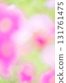 Vertical composition of a cosmos field with a blurred background 131761475