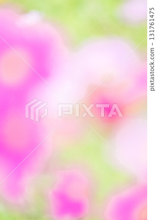 Vertical composition of a cosmos field with a blurred background 131761475
