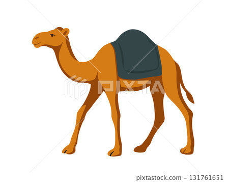 Illustration of a camel walking in the desert 131761651