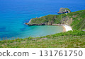 A spectacular, high-angle panoramic photograph capturing the secluded beauty of Playa de Torimbia on the coast of Asturias, Spain. 131761750