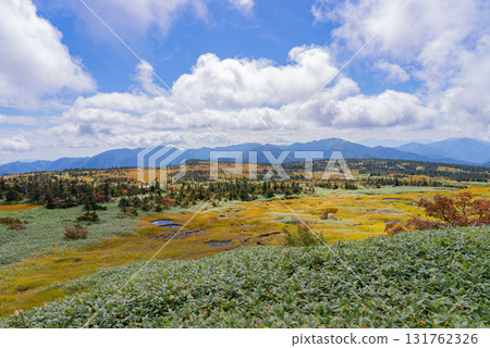 苗場山頂濕地 03 131762326