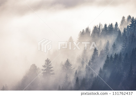 Misty forest valley in a winter morning. The Orava region in north of Slovakia, Europe. 131762437