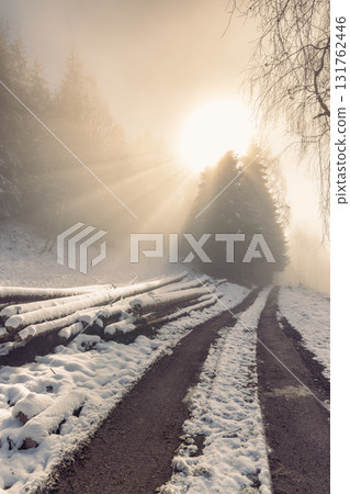 Path illuminated by sunbeams in a foggy winter forest. The Orava region in north of Slovakia, Europe. 131762446