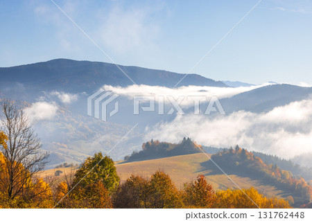 Scenic mountain landscape featuring autumn foliage and low-lying clouds. Serene view of nature's beauty with hills and golden trees. Northwest of Slovakia, Europe. 131762448
