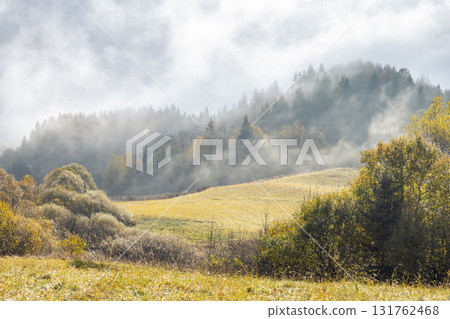 Misty mountainside, a serene scene of rolling hills enveloped in a gentle mist showcasing nature's quiet beauty and peaceful solitude. Northwest of Slovakia, Europe. Misty mountainside, a serene scene of rolling hills enveloped in a gentle mist showcasing nature's quiet beauty and peaceful solitude. Northwest of Slovakia, Europe. 131762468