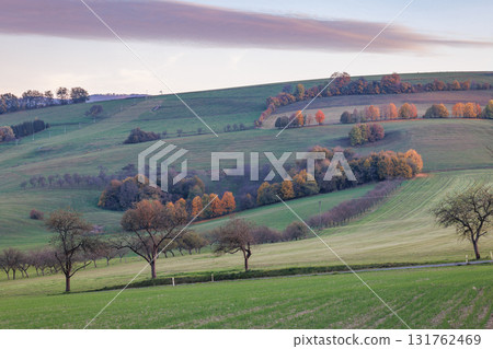 Rolling hills covered in grass and trees during the transition between summer and fall under a colorful sky at sunset. Moravia region of Czech Republic, Europe. 131762469