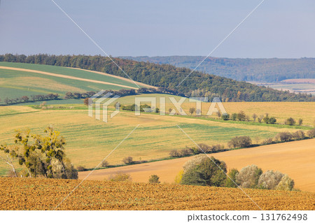 Rolling hills and farmland under a clear sky create a peaceful rural landscape. Textured fields in warm earth tones are visible. Moravia region of Czech Republic, Europe. Rolling hills and farmland under a clear sky create a peaceful rural landscape. Textured fields in warm earth tones are visible. Moravia region of Czech Republic, Europe. 131762498