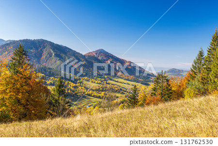 Vibrant autumn landscape with rolling hills colorful forests and a blue sky showcasing the beauty of nature's seasonal transformation. The Mala Fatra national park in northwest of Slovakia, Europe. Vibrant autumn landscape with rolling hills colorful forests and a blue sky showcasing the beauty of nature's seasonal transformation. The Mala Fatra national park in northwest of Slovakia, Europe. 131762530