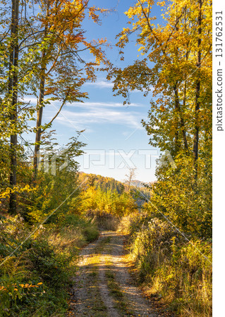 Path through a sunlit autumn forest with vibrant foliage and a clear sky above. A serene and inviting outdoor scene. Path through a sunlit autumn forest with vibrant foliage and a clear sky above. A serene and inviting outdoor scene. 131762531