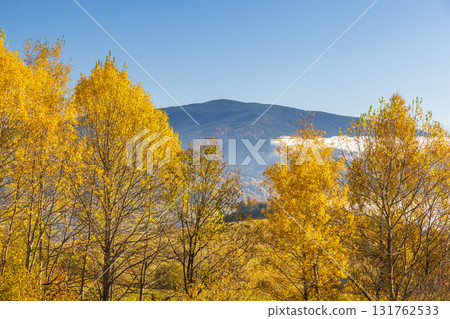 Autumnal mountain landscape with vibrant yellow trees against a clear blue sky and distant mountains, natural beauty abounds. Northwest of Slovakia, Europe. Autumnal mountain landscape with vibrant yellow trees against a clear blue sky and distant mountains, natural beauty abounds. Northwest of Slovakia, Europe. 131762533