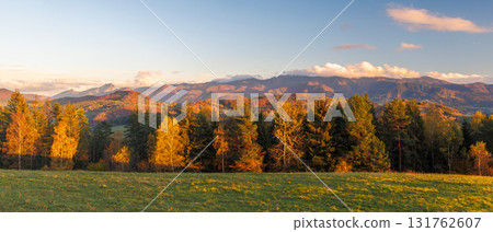 Autumn mountains and forest at sunrise. Green meadow, golden trees, majestic peaks in the distance. The Mala Fatra national park in Slovakia, Europe. 131762607