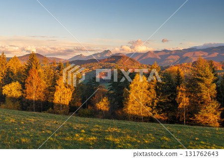 Autumn Sunlight on Rolling Hills: A Scenic Mountain Landscape with Golden Trees and Distant Peaks. The Mala Fatra national park in Slovakia, Europe. 131762643