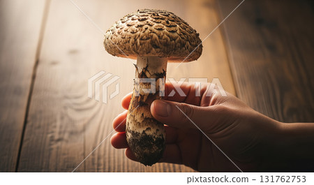 Hand Holding Fresh Matsutake Mushroom Hand Holding Fresh Matsutake Mushroom 131762753