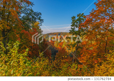 A Stunning Autumn Landscape Featuring Vibrant Trees, Bright Colors, and a Clear Blue Sky A Stunning Autumn Landscape Featuring Vibrant Trees, Bright Colors, and a Clear Blue Sky 131762784