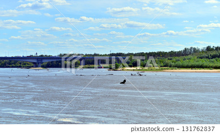 Warsaw, Poland. 11 August 2025. Vistula River in Wawer district 131762837