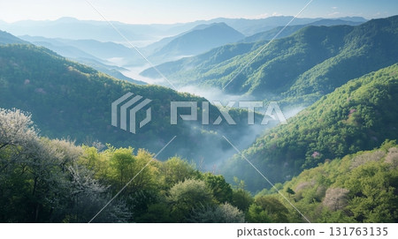 Spring mountains shrouded in fresh greenery and morning mist (1) 131763135
