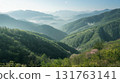 Spring mountains shrouded in fresh greenery and morning mist (4) 131763141