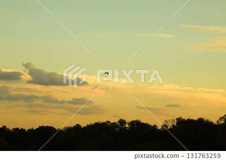 Golden light at sunset over the lake Golden light at sunset over the lake 131763259