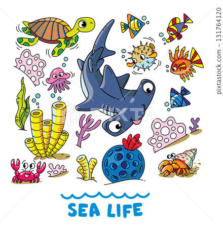 Sea theme. Hammerhead fish vector illustration set 131764120