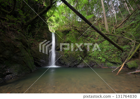 Bodai Falls (Kita Ward, Kyoto City, Kyoto Prefecture) Bodai Falls (Kita Ward, Kyoto City, Kyoto Prefecture) 131764830
